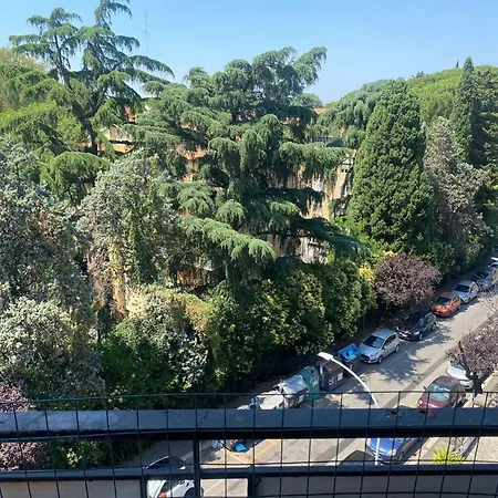 Eur Centro Lux Con Camino